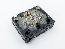 Load image into Gallery viewer, Jam Pedals Delay Llama XTREME Achenbach multi-head
